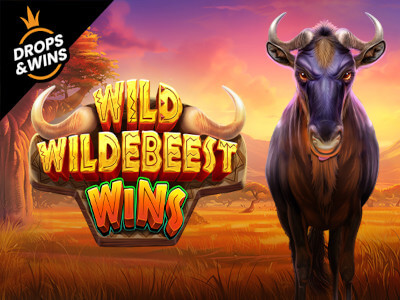 365 bet login